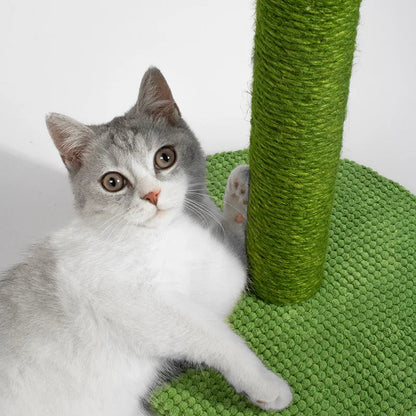 pet grooming – 4