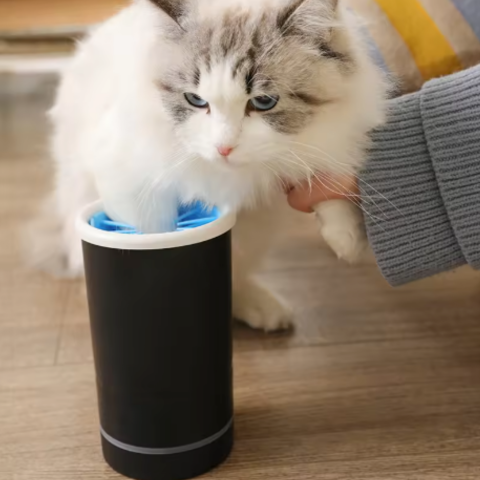 pet grooming