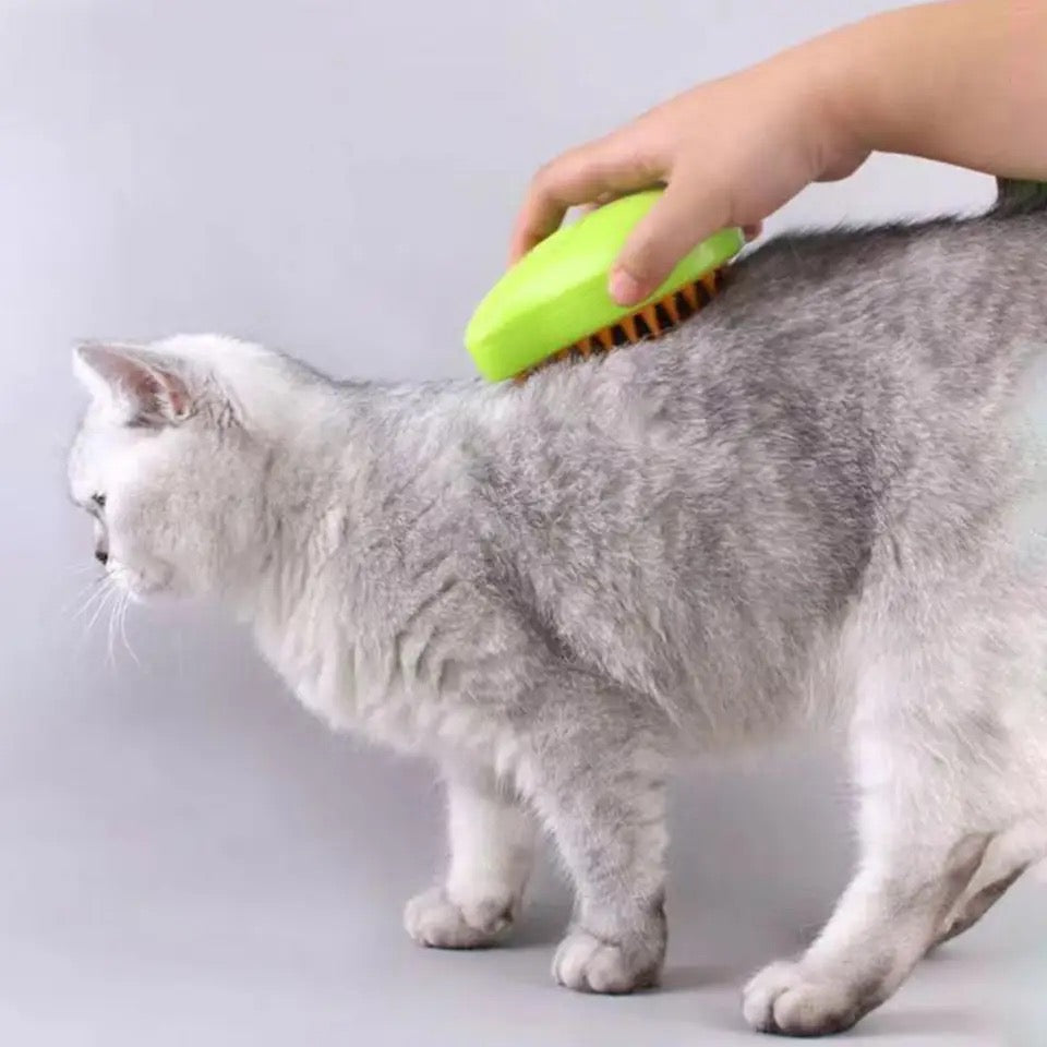 pet grooming – 8