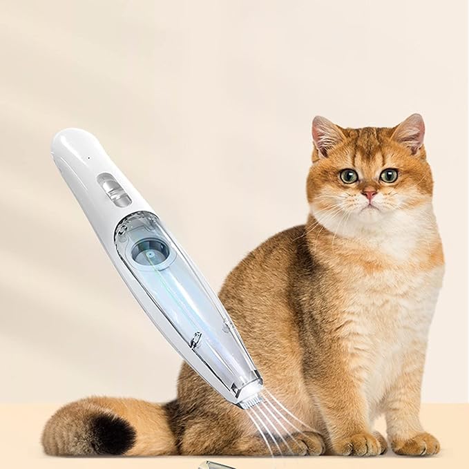 pet grooming