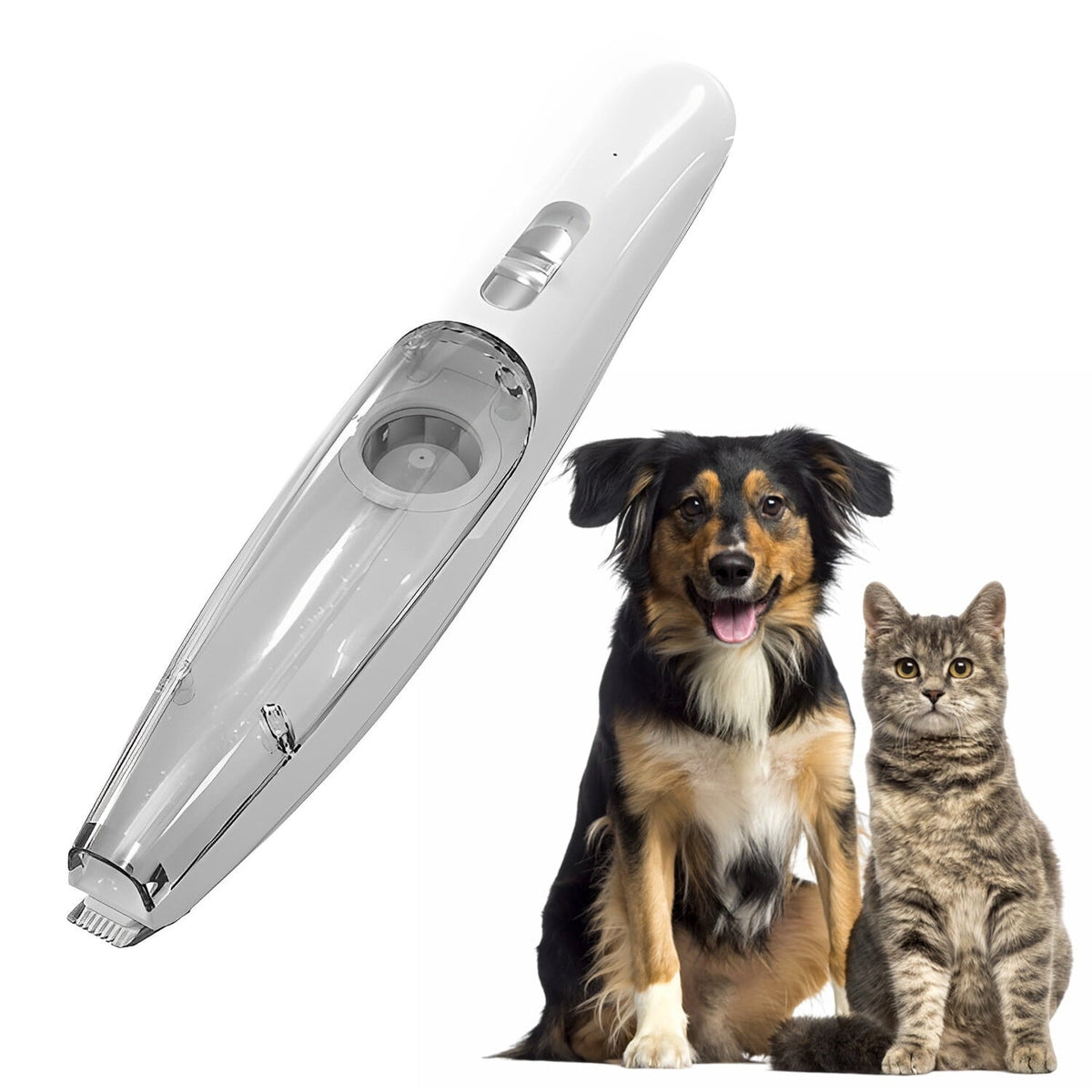 pet grooming – 2