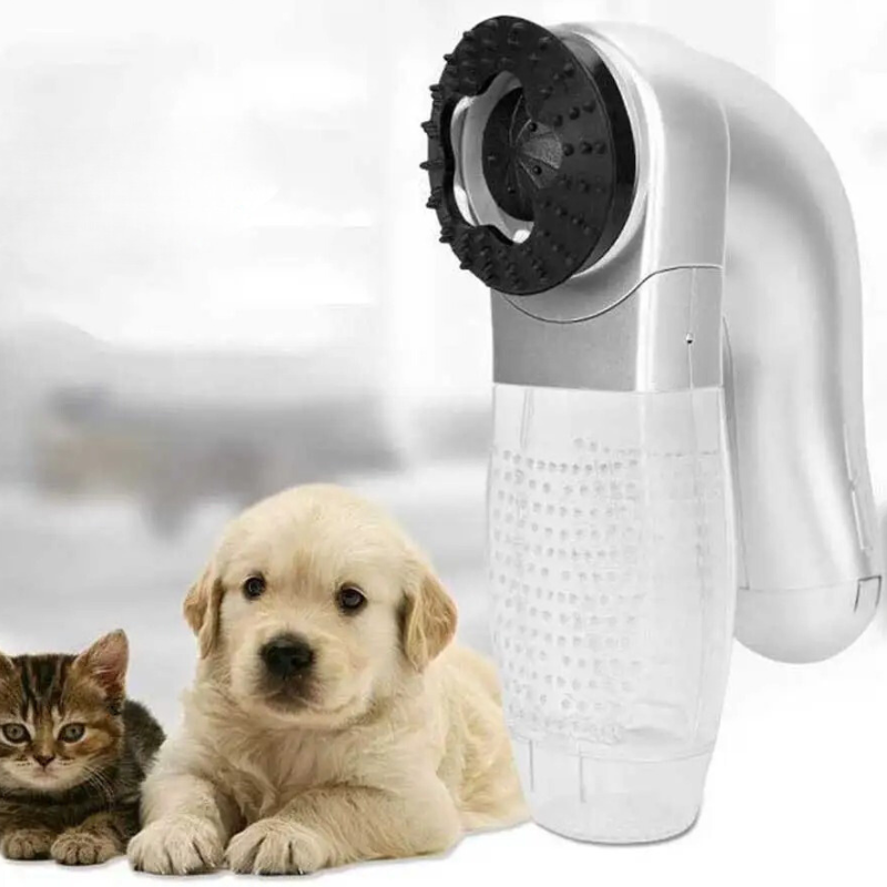 pet grooming