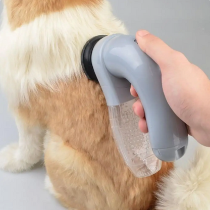 pet grooming
