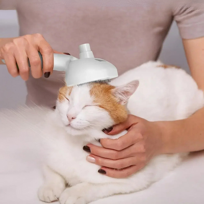 pet grooming