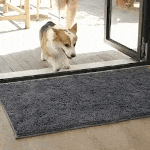 pet grooming