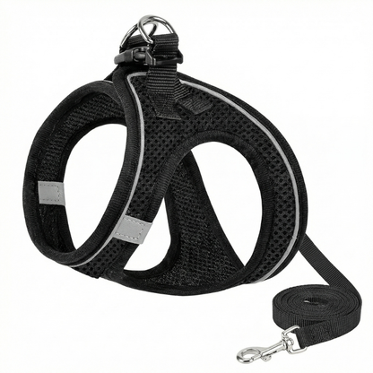 pet harness – 3