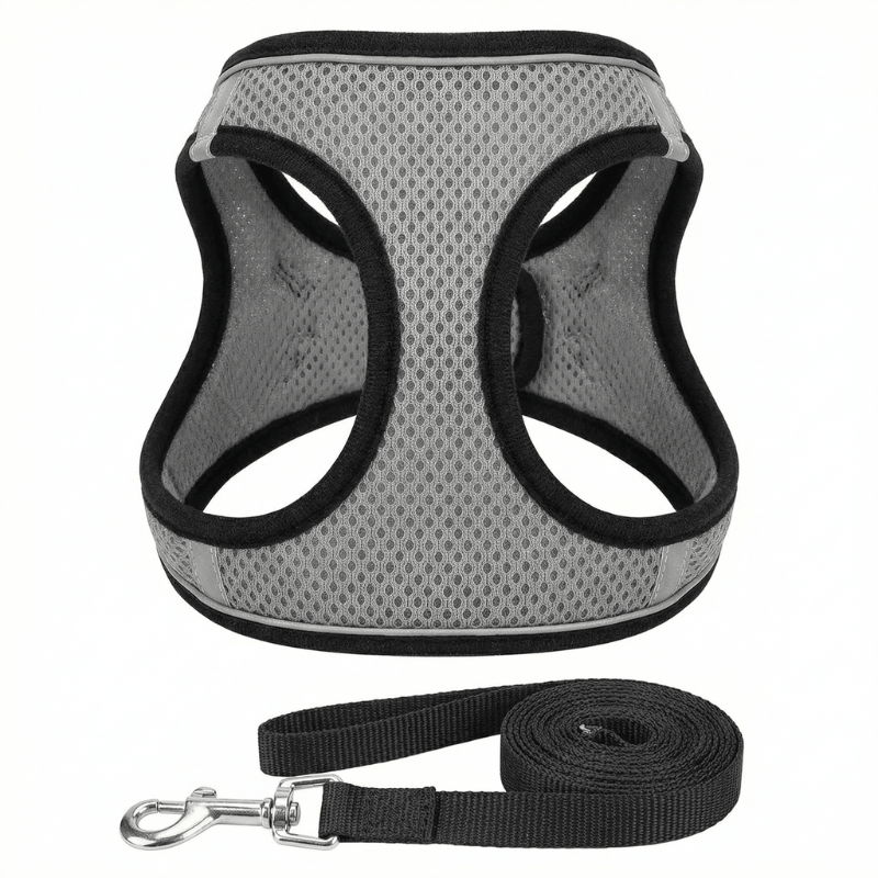 pet harness – 4