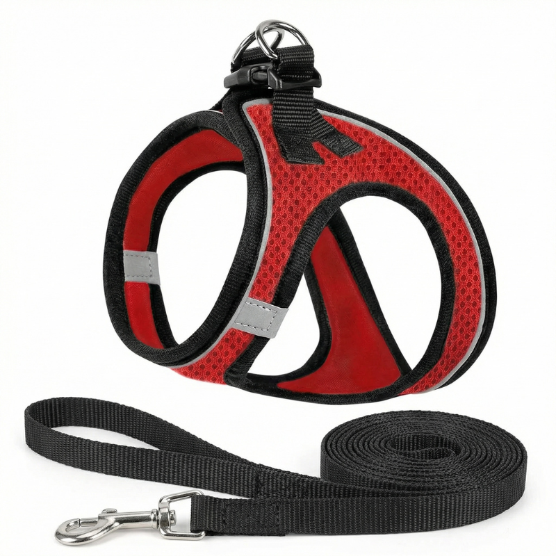 pet harness – 8