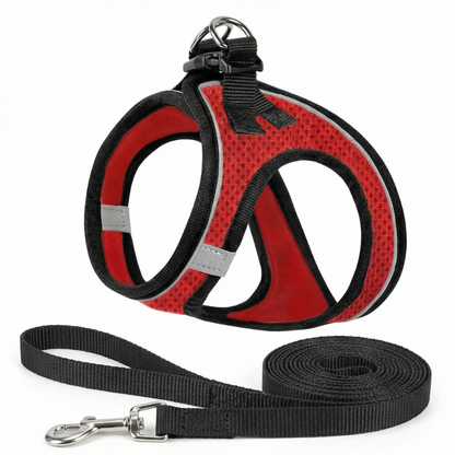 pet harness – 8