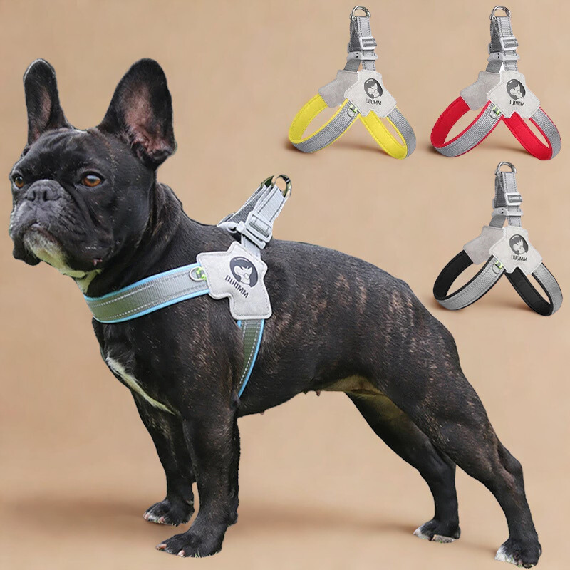 pet harness