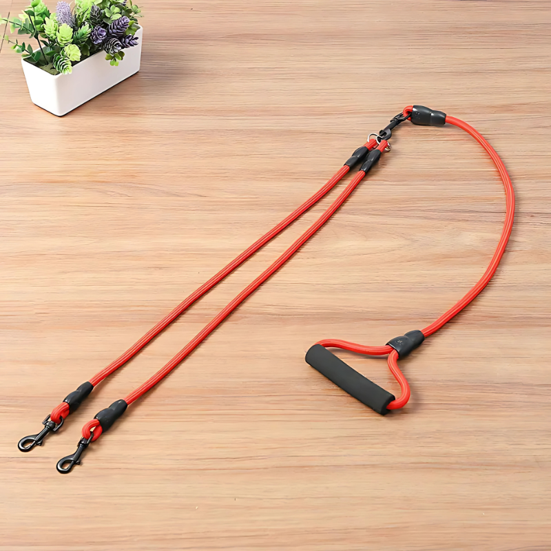 pet harness