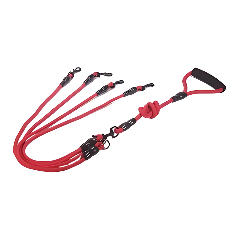 pet harness – 10