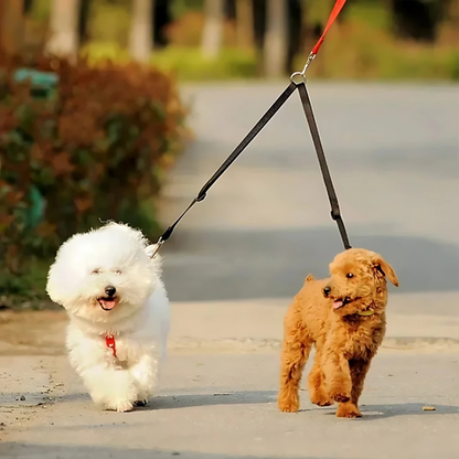 pet harness