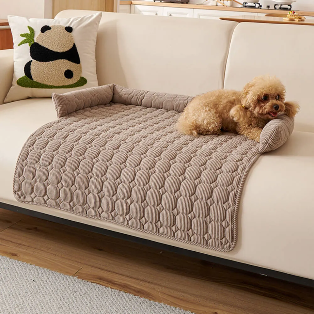 rug – 3
