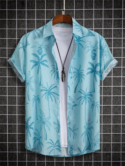 shirt – 12