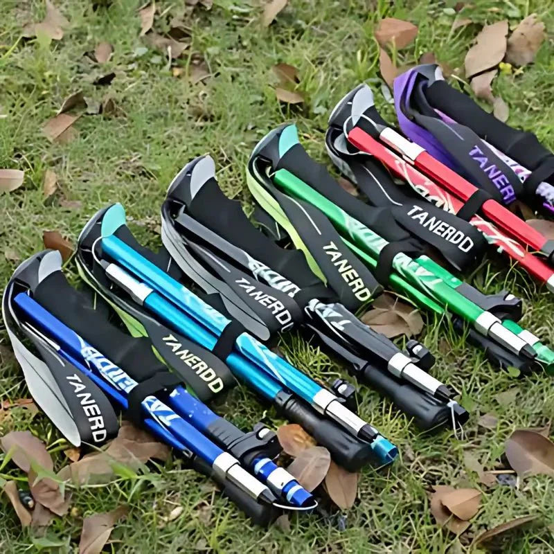 sports – 4