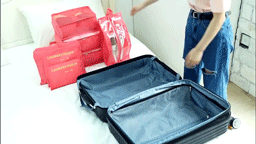 suitcase