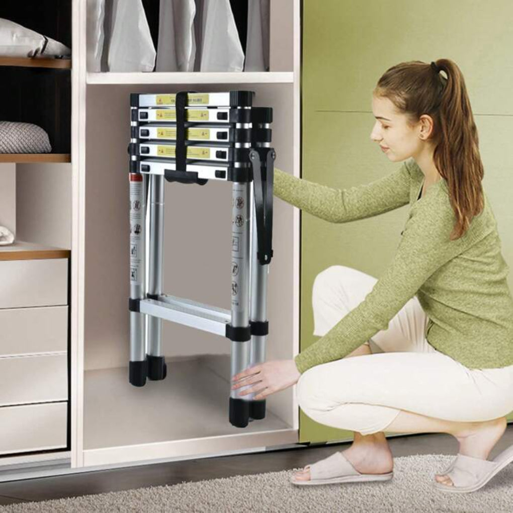 telescopic ladder – 2
